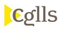 Brand Name